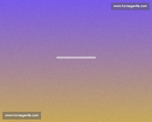 成都蓉城亚冠首秀球衣暗藏国际化密码：胸前英文标识背后的战略突围