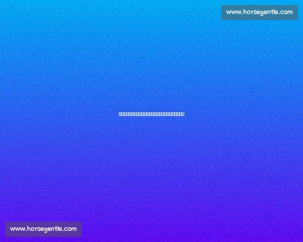 李磊转会风云:两家中超球队竞逐,河南队明确未参与谈判