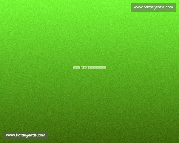 刘祝润：从 “刘主任” 到国脚，国足经历重塑自我