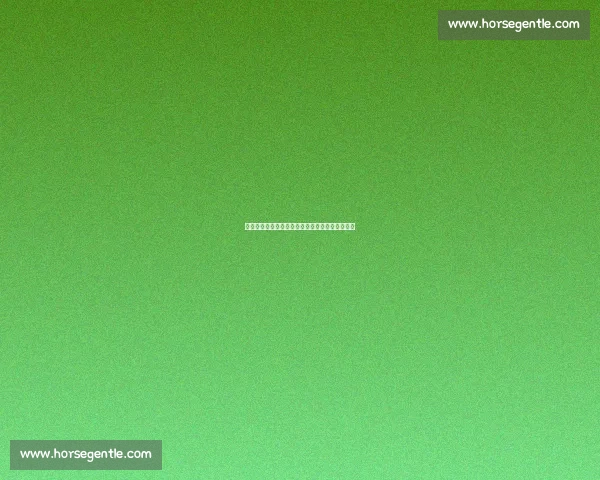 卡扎尔：失利抛脑后，剑指成都蓉城足协杯关键战