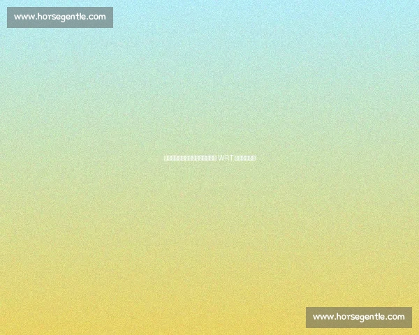 叶一飞勒芒首秀领跑却遭致命故障 WRT 车队遗憾退赛