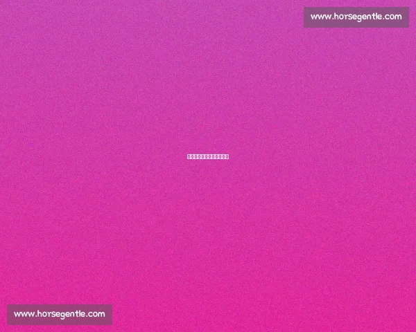 暂别全运,共赴大湾区新章