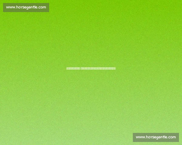 巅峰对决的时代记忆 孔令辉与瓦尔德内尔乒坛传奇之战世界赛场永恒经典