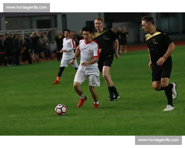 巴西对阵德国世纪之战足球荣耀与历史宿命的再次碰撞全球目光聚焦绿茵场