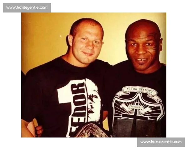 泰森与迈考尔激战精彩回顾 两大拳王巅峰对决的震撼瞬间