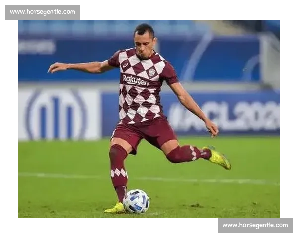 贝夏普尔迎战卢多戈雷欧战焦点对决胜负前瞻解析实力与战术深度剖析